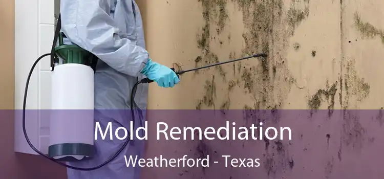 Mold Remediation Weatherford - Texas