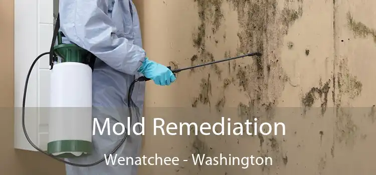 Mold Remediation Wenatchee - Washington