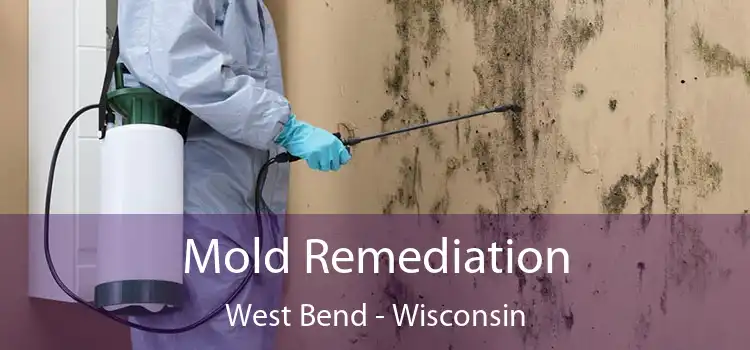 Mold Remediation West Bend - Wisconsin