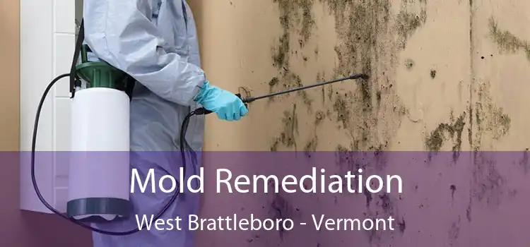 Mold Remediation West Brattleboro - Vermont