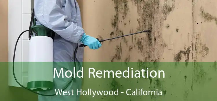 Mold Remediation West Hollywood - California