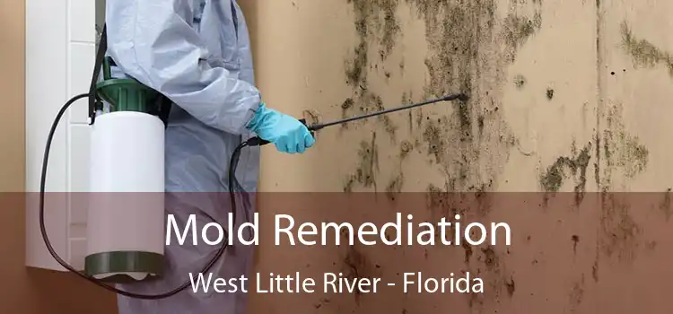 Mold Remediation West Little River - Florida