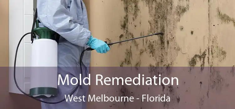 Mold Remediation West Melbourne - Florida