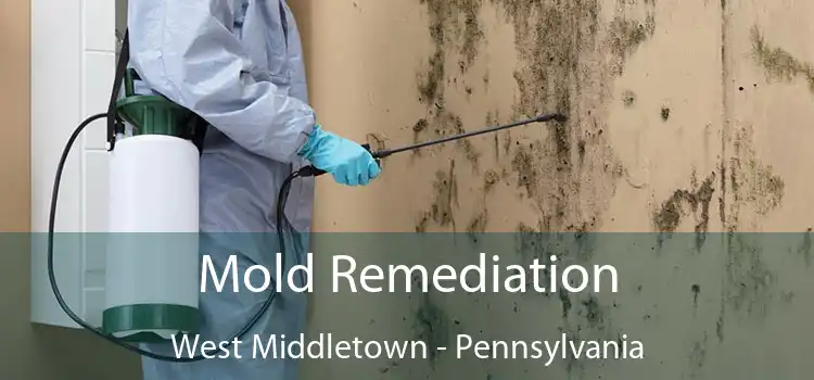 Mold Remediation West Middletown - Pennsylvania