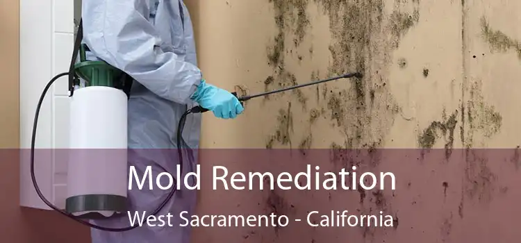 Mold Remediation West Sacramento - California