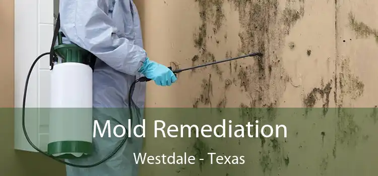 Mold Remediation Westdale - Texas