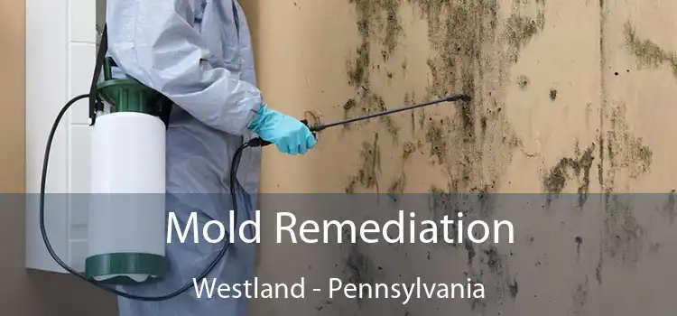 Mold Remediation Westland - Pennsylvania