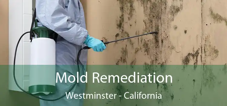 Mold Remediation Westminster - California