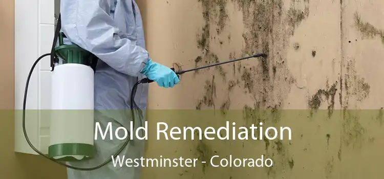 Mold Remediation Westminster - Colorado