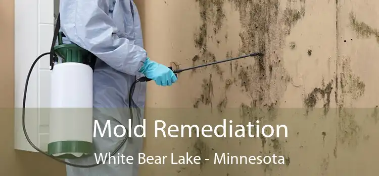 Mold Remediation White Bear Lake - Minnesota