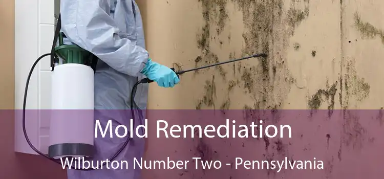 Mold Remediation Wilburton Number Two - Pennsylvania