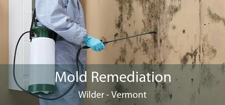 Mold Remediation Wilder - Vermont