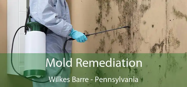 Mold Remediation Wilkes Barre - Pennsylvania