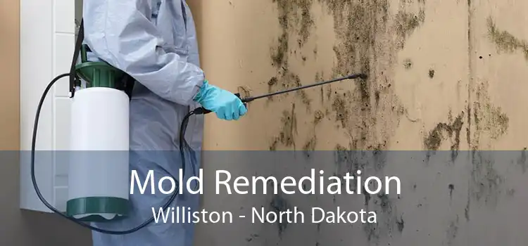 Mold Remediation Williston - North Dakota