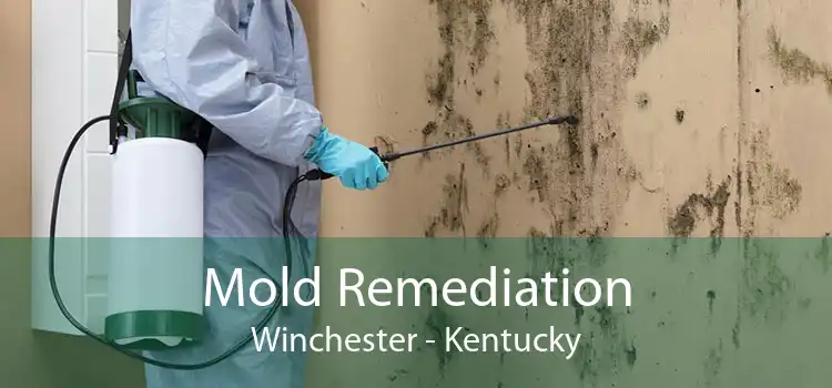 Mold Remediation Winchester - Kentucky