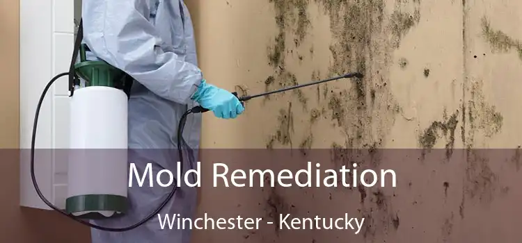 Mold Remediation Winchester - Kentucky