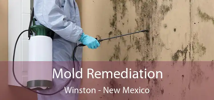 Mold Remediation Winston - New Mexico