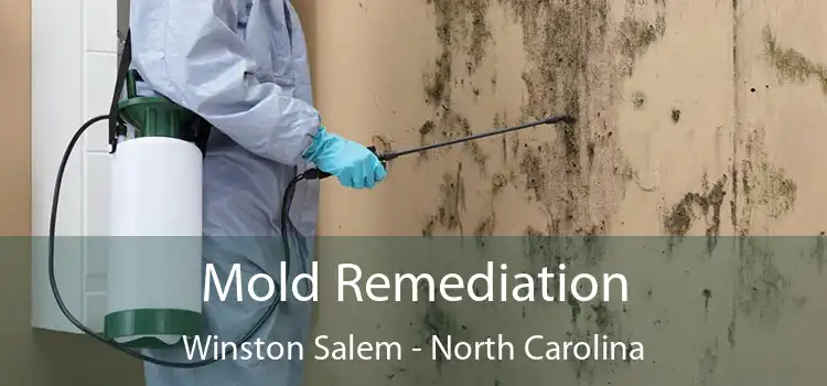 Mold Remediation Winston Salem - North Carolina