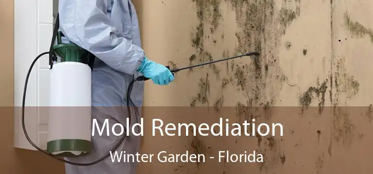 Mold Remediation Winter Garden - Florida