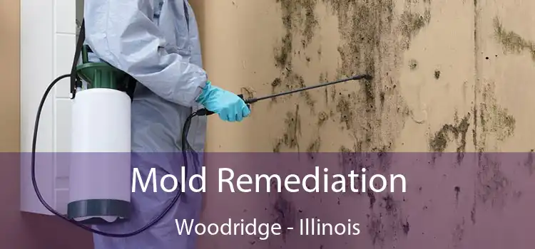 Mold Remediation Woodridge - Illinois