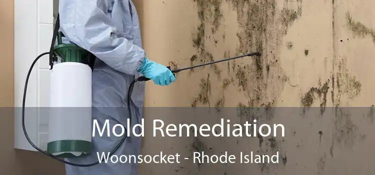 Mold Remediation Woonsocket - Rhode Island