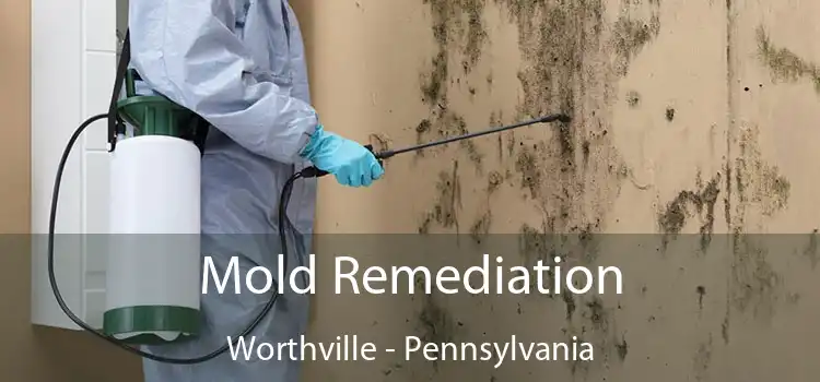 Mold Remediation Worthville - Pennsylvania