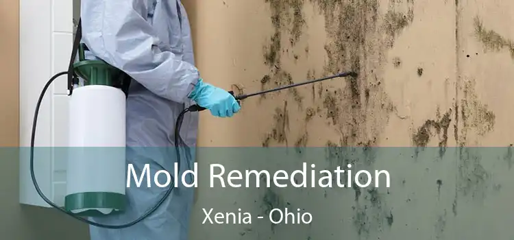 Mold Remediation Xenia - Ohio