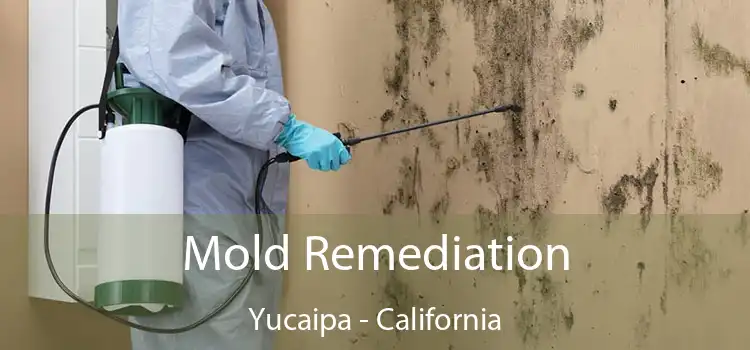 Mold Remediation Yucaipa - California