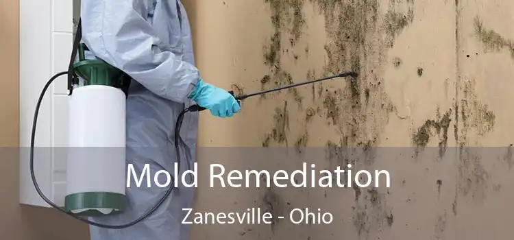 Mold Remediation Zanesville - Ohio