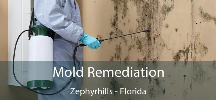 Mold Remediation Zephyrhills - Florida