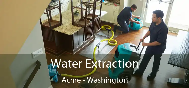 Water Extraction Acme - Washington