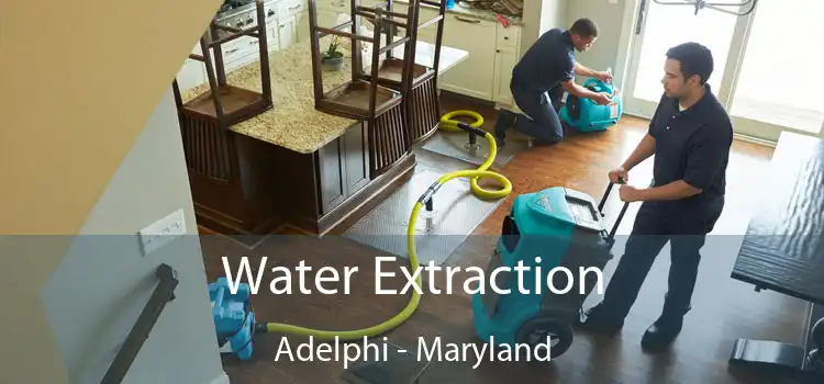 Water Extraction Adelphi - Maryland