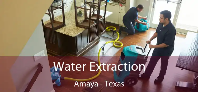 Water Extraction Amaya - Texas