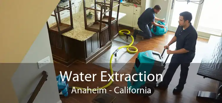 Water Extraction Anaheim - California