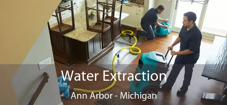 Water Extraction Ann Arbor - Michigan