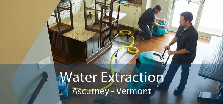 Water Extraction Ascutney - Vermont