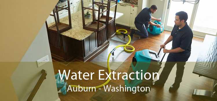 Water Extraction Auburn - Washington