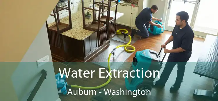 Water Extraction Auburn - Washington