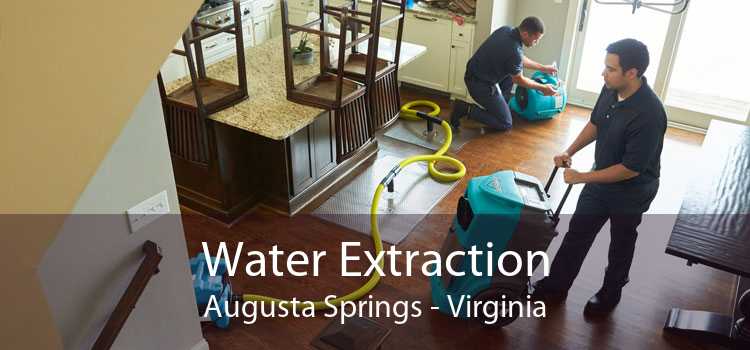 Water Extraction Augusta Springs - Virginia