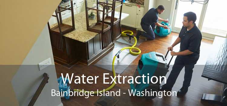 Water Extraction Bainbridge Island - Washington