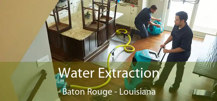 Water Extraction Baton Rouge - Louisiana