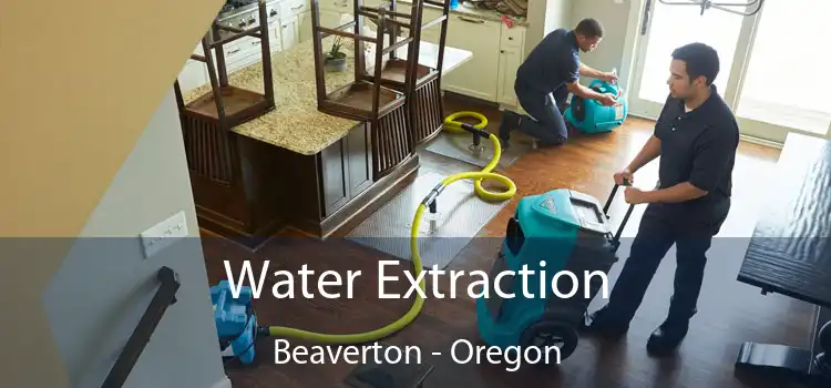 Water Extraction Beaverton - Oregon