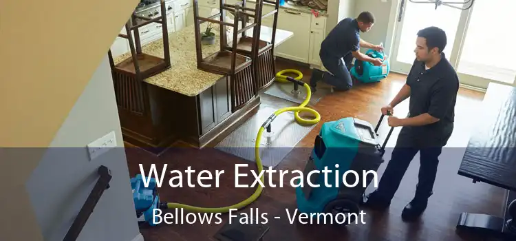 Water Extraction Bellows Falls - Vermont