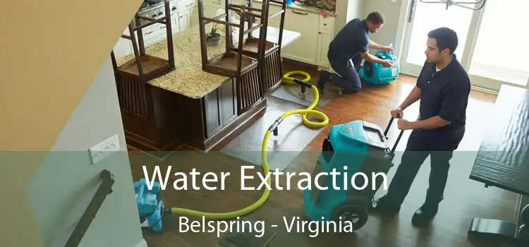 Water Extraction Belspring - Virginia