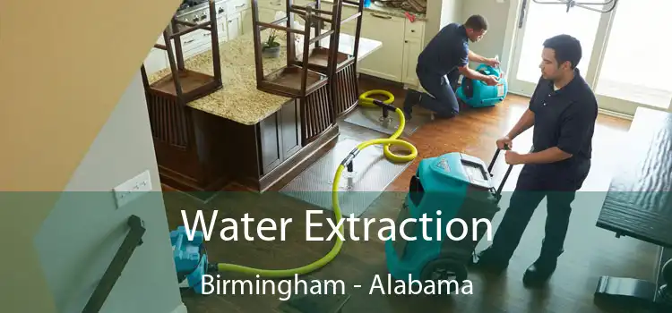 Water Extraction Birmingham - Alabama