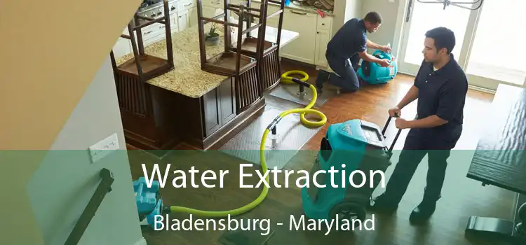 Water Extraction Bladensburg - Maryland