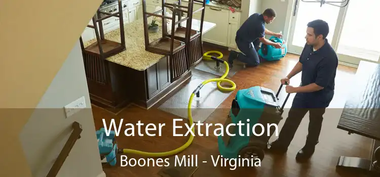 Water Extraction Boones Mill - Virginia