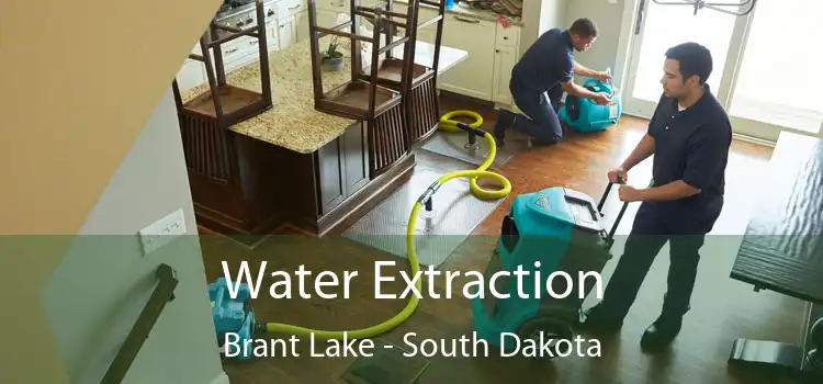 Water Extraction Brant Lake - South Dakota