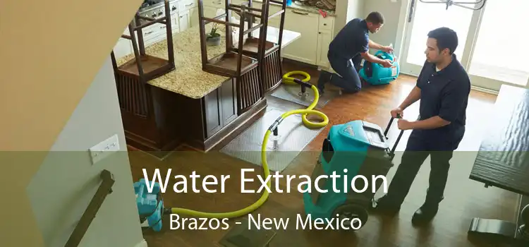 Water Extraction Brazos - New Mexico