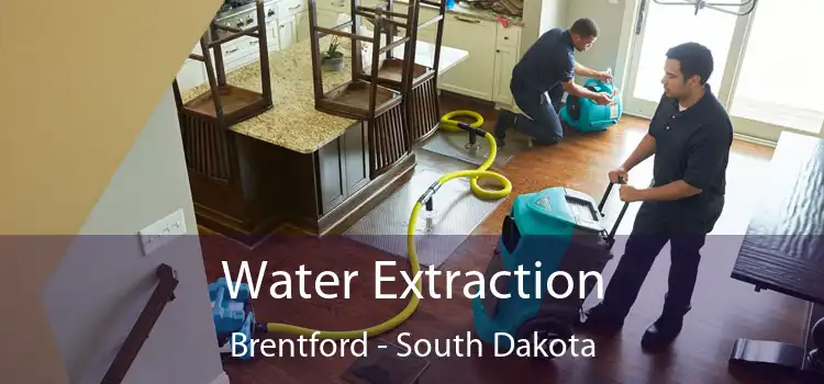 Water Extraction Brentford - South Dakota